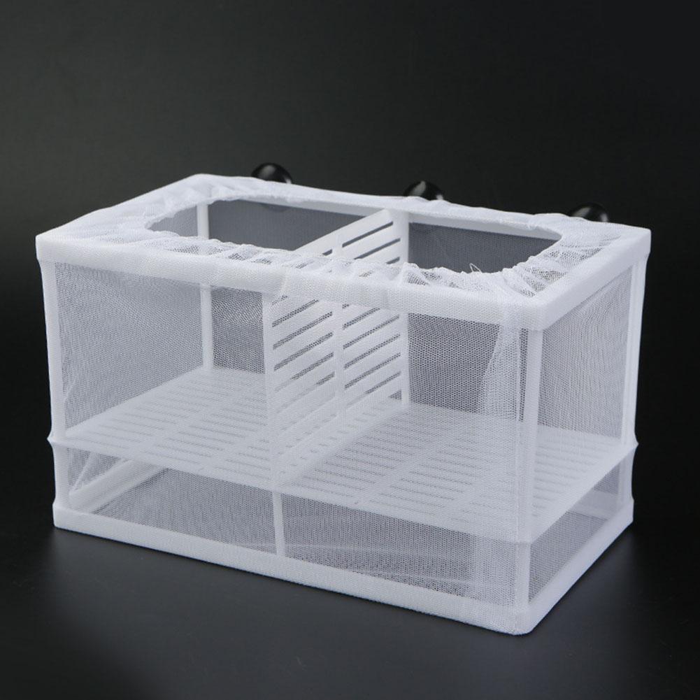 Vakumlu Tutuculu Akvaryum Balı - Marine Aquarium Kit incelemesi ve fiyatı
