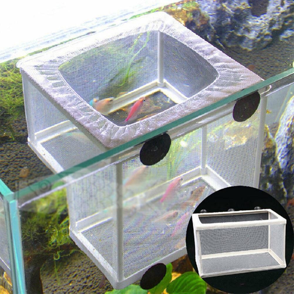 Vakumlu Tutuculu Akvaryum Balı - Marine Aquarium Kit incelemesi ve fiyatı