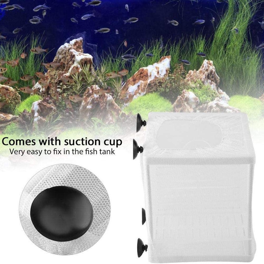 Vakumlu Tutuculu Akvaryum Balı - Marine Aquarium Kit incelemesi ve fiyatı