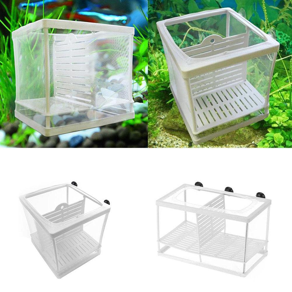 Vakumlu Tutuculu Akvaryum Balı - Marine Aquarium Kit incelemesi ve fiyatı
