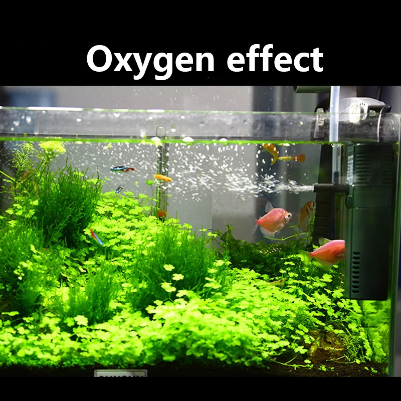 SUNSUN mini nano 111B 311B 611 - Aquarium Blue Marine Reef 60 incelemesi ve fiyatı